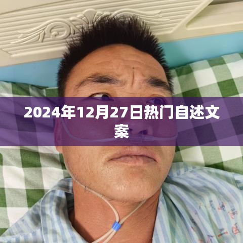 精选自述文案，引爆热点，2024年12月27日热门自述盘点