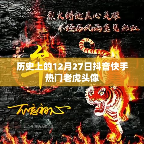 抖音快手老虎头像背后的历史，揭秘十二月二十七日背后的故事