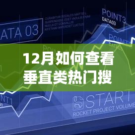 12月垂直类热门搜索查询攻略