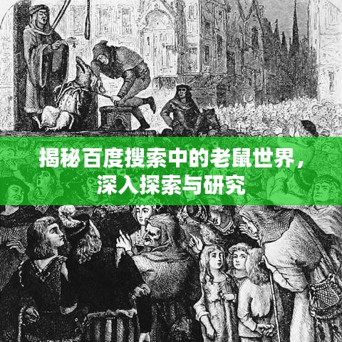 揭秘百度搜索中的老鼠世界，深入探索与研究