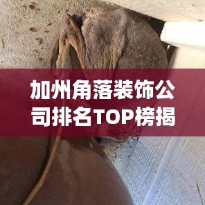 加州角落装饰公司排名TOP榜揭晓！