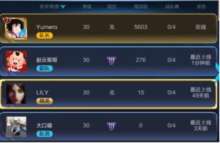 王者荣耀新版本下载,专家分析解释定义-交互版_v9.351
