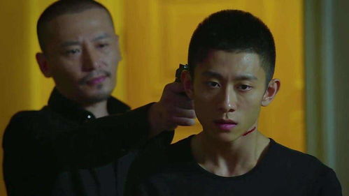 张一山版本鹿鼎记免费,高速方案规划响应|Ultra_v5.671