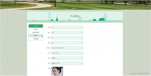 启信宝电脑版官方下载，专业级工具的行业标杆与实地验证策略Harmony_v7.274