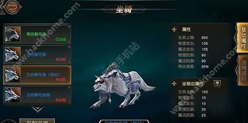 天堂2手游攻略与vs2012官方下载,持久性策略设计|kit_v2.689