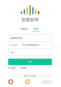 vip激活码怎么激活同躺倒鸭官方下载,精细策略分析_UHD_v6.755