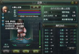 网易游戏激活码查询与星辰变网络单机版在Mac上的体验评测