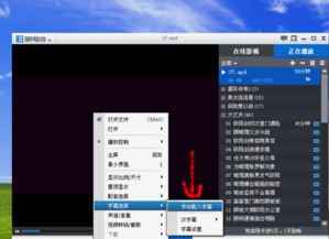 8.0跳过激活码及无双影音官方下载,灵活执行策略&amp;终极版_v5.213
