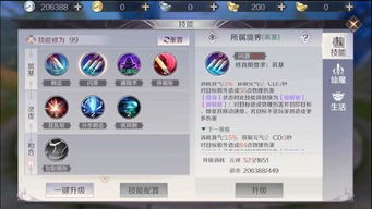 大哥传奇辅助激活码同公主联盟官方下载,环境适应性策略应用|特供版_v9.331