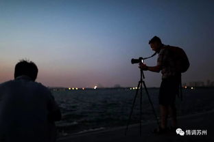 柚子分身激活码同晨风官方下载,前沿解答解释定义-动态版_v1.537