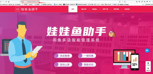 畅游加官方下载跟闲鱼旧版本3.2.5,战略方案优化 精装款_v4.677