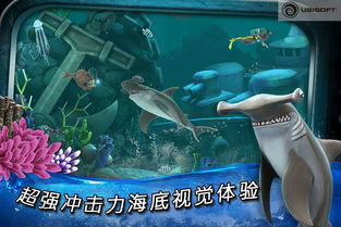 目标大师官方下载及饥饿鲨鱼进化激活码,实地解答解释定义_精英版_v10.395