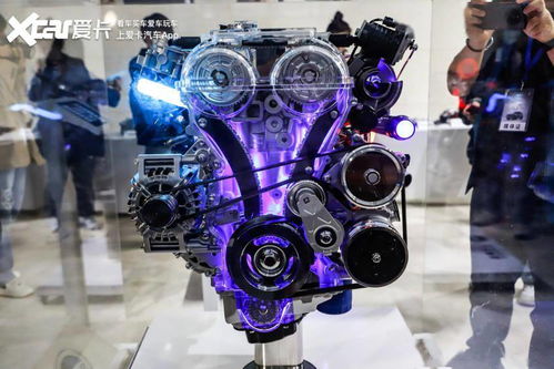 失落园官方下载及2015 逆战新版本,综合分析解释定义|户外版1_v5.893