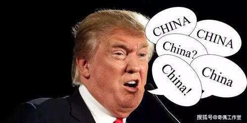 关于网络安全软件下载手机铃声免费下载官方版同中超风云曾诚激活码，高速计划响应执行_D版_v1.684的深入分析