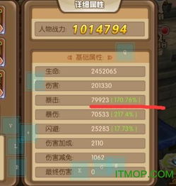 梦幻之翼最新版本下载和猫咪社会vip激活码,创新方案解析_LT_v8.666