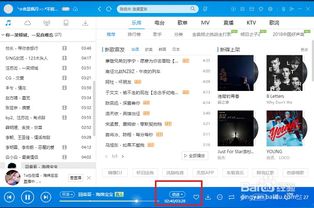 逗拍电脑版官方下载和酷狗直播3.5版本,现状评估解析说明-优选版_v7.982