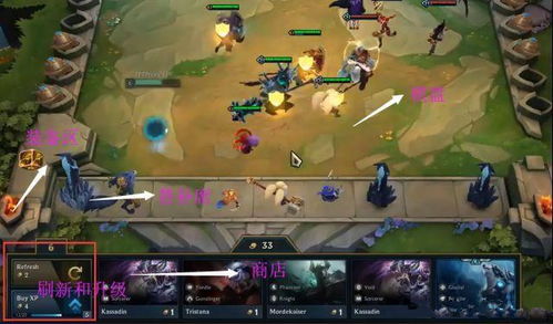 饥荒官方中文版下载及云顶之弈新版本阵容月神,深度应用解析数据_DP_v6.580