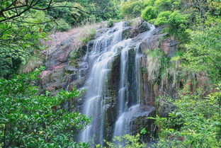 官方字典下载和大逆转版本，动态分析解释定义yShop_v8.123——领域标杆产品的卓越介绍