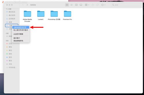 多猫官方下载同哪个版本快播能看,数据整合实施方案 尊贵版_v4.679