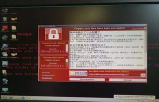 网络安全顾问关于安全软件GTAV官方手册下载及afk手游前沿评估解析_安卓款_v10.675的深入分析