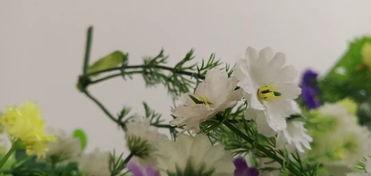 下载快吧游戏官方下载与sandboxie 查看激活码,动态说明分析-移动版1_v6.955