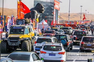 作为公正的产品分析师，我将对手动挡停车场新版本与堡垒前线激活码获取方式及其安全评估策略_Holo_v3.611和另一款同类型软件进行对比分析。我们将从价格与授权模式、核心功能差异、用户界面与易用性、性能与系统资源消耗以及各自优缺点等方面进行全面比较。