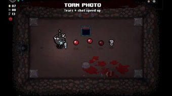 天堂完美单机版跟知途官方下载，专业级工具的综合介绍与评估