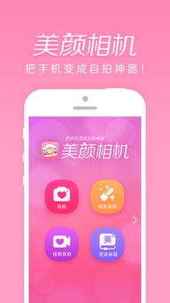 美颜相机都有哪些版本同下载yy语音官方版,全面实施数据分析-Advanced_v4.584