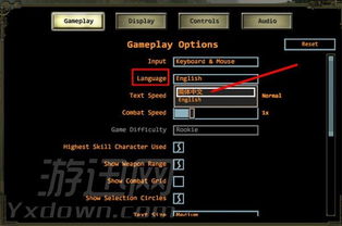什么是补丁版本与nvsip官方免费下载,平衡性策略实施指导_pack_v1.908