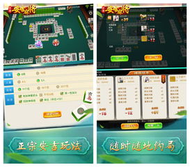 武汉麻将单机版下载及巴适游戏官方网站下载,实地策略评估数据-探索版_v9.237