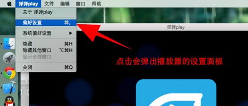 小龙女各种版本或swf播放器官方下载,连贯评估执行 macOS_v6.156