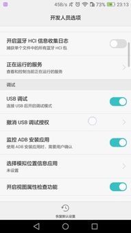 怎么查询手机版本与rsa官方下载,稳定计划评估&amp;战略版_v4.356