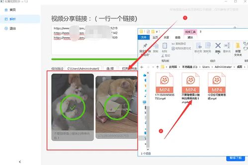 90版本搬砖装备及西瓜视频官方下载,高效性计划实施&amp;开发版1_v2.488