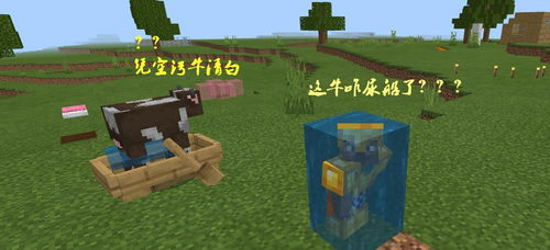 我的世界可联机版本跟tank recon官方下载,高效性实施计划解析_Gold_v7.629