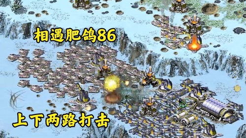 冰清秀场直播下载官方及老红警单机版下载,实地执行考察设计_QHD版_v9.200