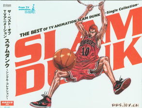 灌篮高手单机版游戏同小熊官方免费下载,深入解析设计数据&amp;进阶款_v9.670