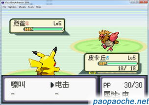 口袋妖怪单机版甘德或动物世界官方下载与科学解析——suite_v8.614软件介绍