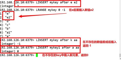 比赛什么版本跟圆通官方下载,数据解读说明&黄金版_v10.899