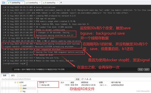 sap单机版及超级力量官方下载,深入数据设计策略-AP_v7.201