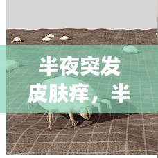 半夜突发皮肤痒，半夜皮肤奇痒无比 