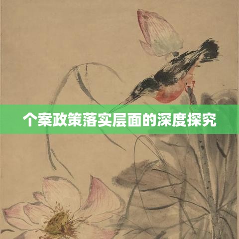 个案政策落实层面的深度探究