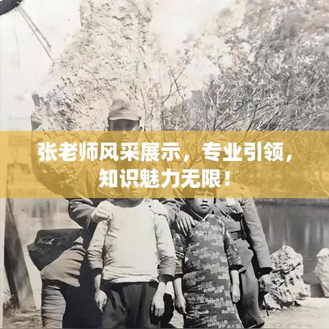 张老师风采展示，专业引领，知识魅力无限！