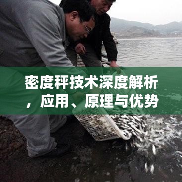 密度秤技术深度解析，应用、原理与优势PPT文章全解析
