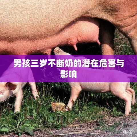 男孩三岁不断奶的潜在危害与影响