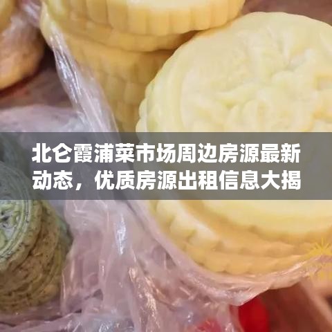 北仑霞浦菜市场周边房源最新动态，优质房源出租信息大揭秘！