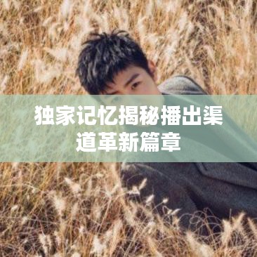 独家记忆揭秘播出渠道革新篇章