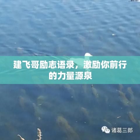 建飞哥励志语录，激励你前行的力量源泉
