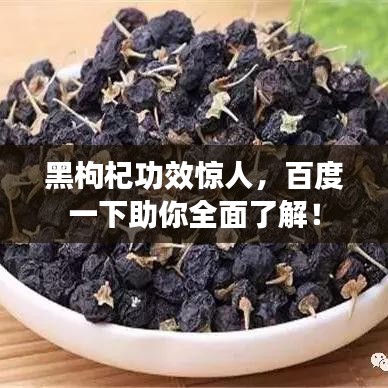黑枸杞功效惊人，百度一下助你全面了解！