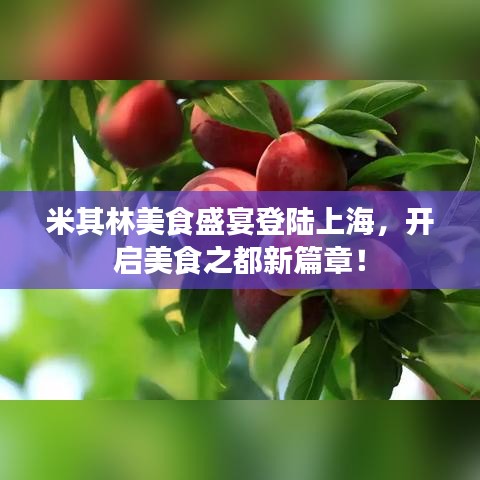 米其林美食盛宴登陆上海，开启美食之都新篇章！