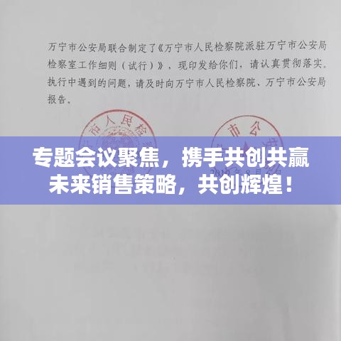 专题会议聚焦，携手共创共赢未来销售策略，共创辉煌！